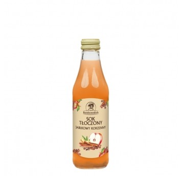 SOK JABŁKOWO-KORZENNY 0,25L